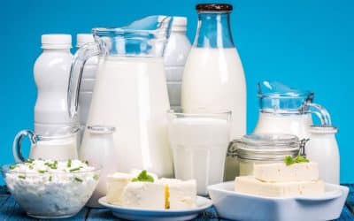 Produits laitiers : Les coupables insoupçonnés de votre prise de poids